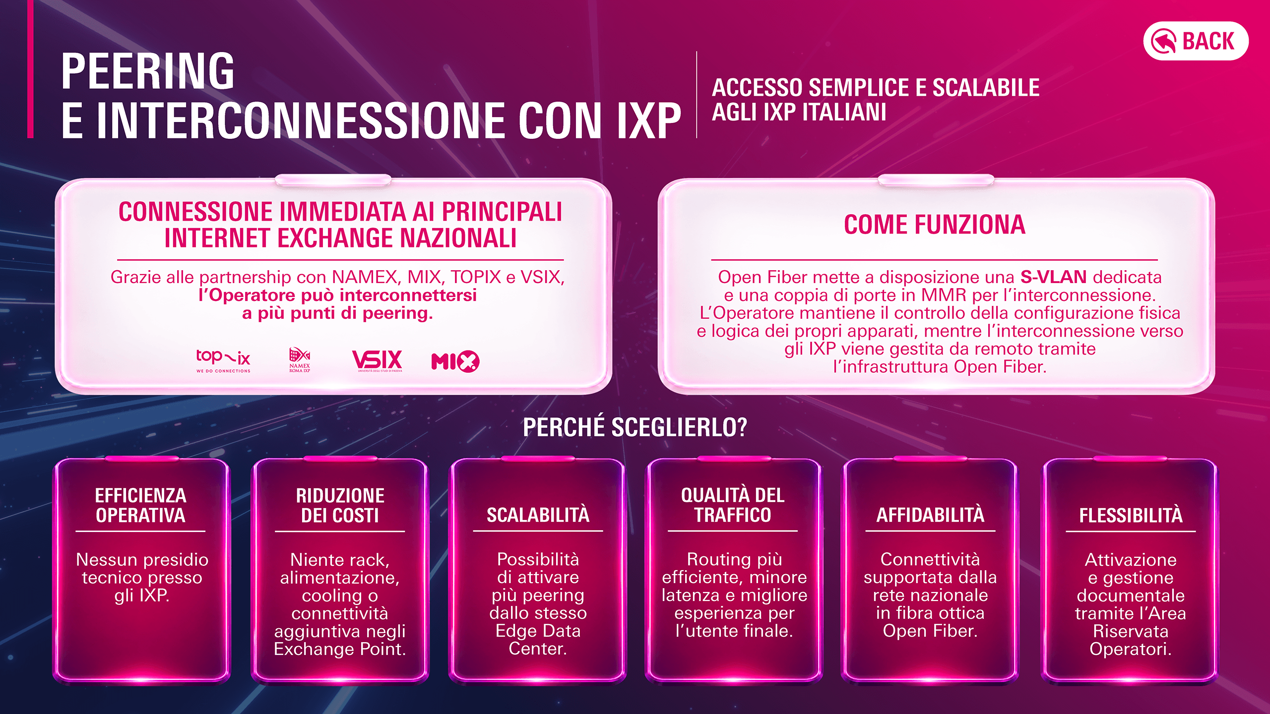 Pagina 12